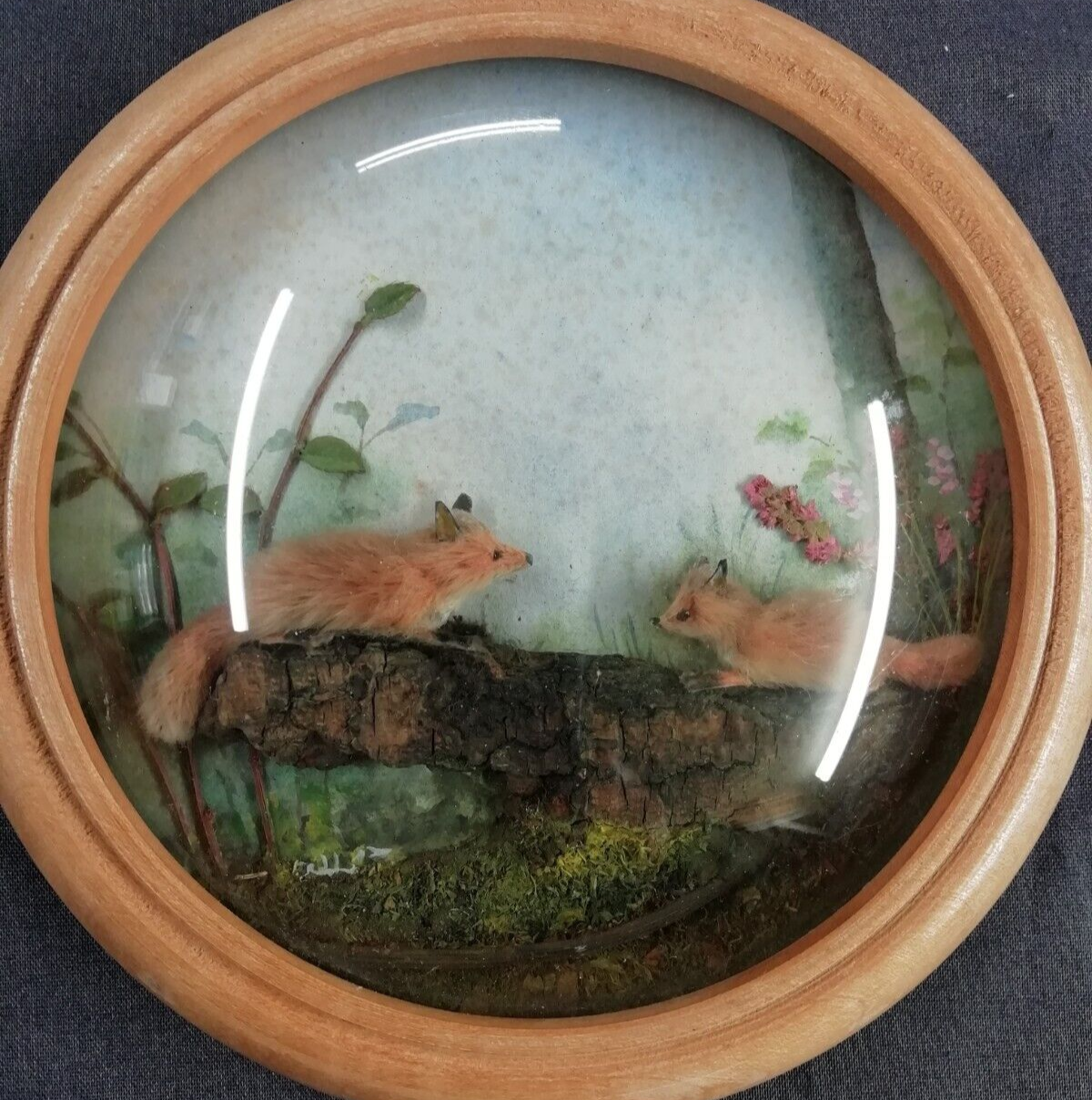 Fox and Cub (Version 2) (5-inch)